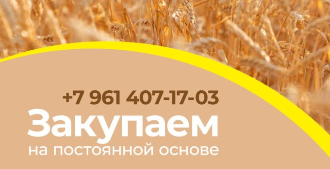 Закупаем сельхозпродукцию: зерно, пшеницу, подсолнечник
