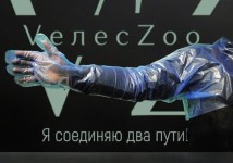 ПЕРЧАТКА ветеринарная для искусственного осеменения, родовспоможения с наплечником ВелесЗоо