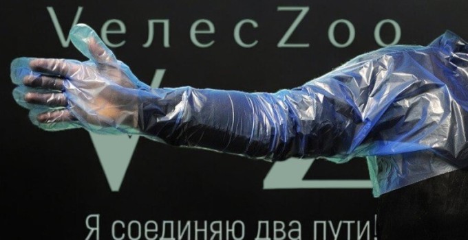 ПЕРЧАТКА ветеринарная для искусственного осеменения, родовспоможения с наплечником ВелесЗоо