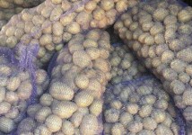 Картофель оптом с хозяйств. Сертификаты. Доставка по РФ