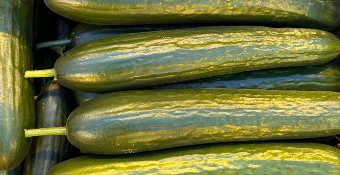 Тепличный Огурец Гладкий Мева