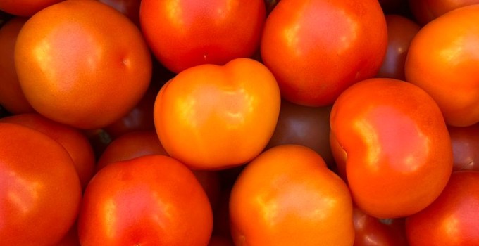 Томат среднеплодный круглый красный