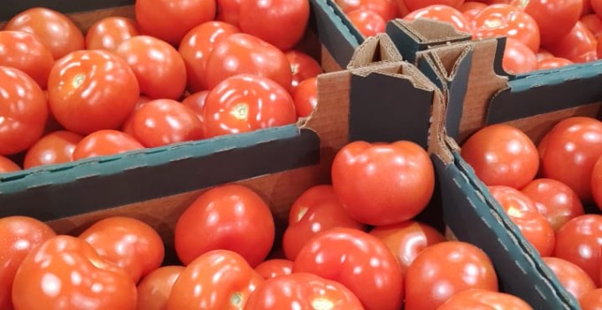 Томат среднеплодный круглый красный