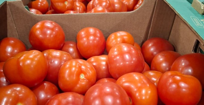 Томат среднеплодный круглый красный