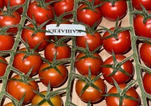 Томат черри тепличный