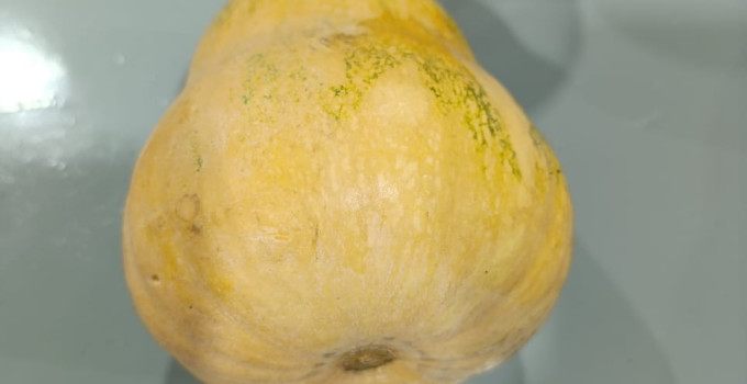 Баттернат мускатная