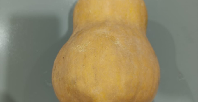 Баттернат мускатная