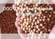 Семена нута Приво 1,    Волжанин 50 ЭС