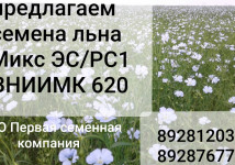 Семена льна масличного сорт  ВНИИМК 620,  Микс, Фаворит