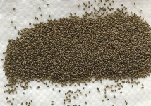 Семена однолетних и многолетних трав