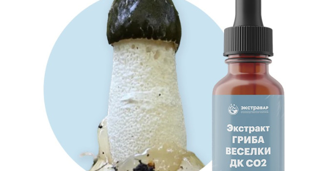 Веселка обыкновенная (мицелий гриба) экстракт ДК СО2 водорастворимый (100% клеточный сок) (1000 мл)