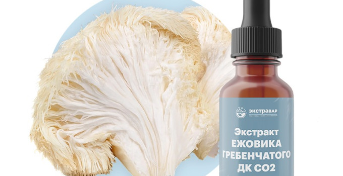 Ежовик гребенчатый (зерномицелий) экстракт ДК СО2 водорастворимый (100% клеточный сок) (1