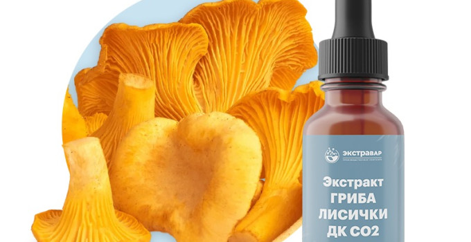 Лисички (гриб) экстракт ДК СО2 водорастворимый (100% клеточный сок) (1000 мл)