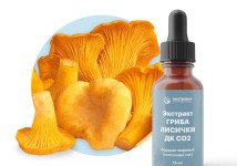 Лисички (гриб) экстракт ДК СО2 водорастворимый (100% клеточный сок) (15 мл)