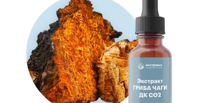 Чага (гриб) экстракт ДК СО2 водорастворимый (100% клеточный сок) (1000 мл)