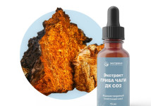 Чага (гриб) экстракт ДК СО2 водорастворимый (100% клеточный сок) (15 мл)