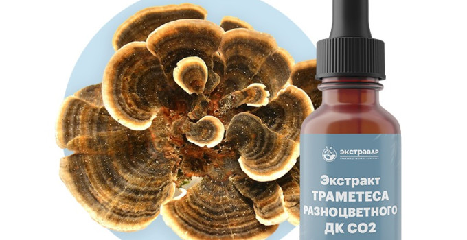 Траметес разноцветный (мицелий гриба) экстракт ДК СО2 водорастворимый (100% клеточный сок) (15 мл)