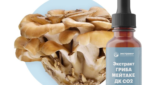 Майтаке (гриб) экстракт ДК СО2 водорастворимый (100% клеточный сок) (15 мл)