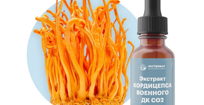 Кордицепс военный (гриб) экстракт ДК СО2 водорастворимый (100% клеточный сок) (1000 мл)