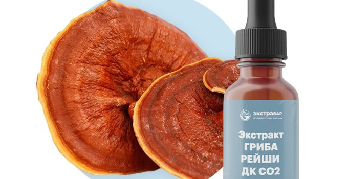 Рейши (зерномицелий) экстракт ДК СО2 водорастворимый (100% клеточный сок) 15 мл