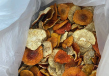 мухомор красный