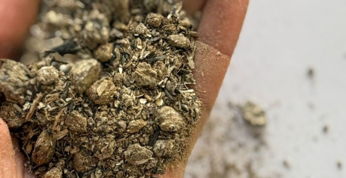 Подсолнечный шрот