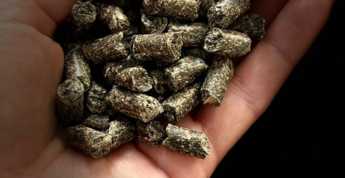 Подсолнечный шрот