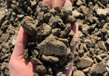 Подсолнечный жмых