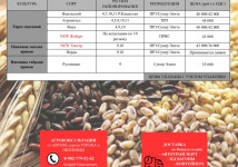 «СЕМЕННАЯ ЛИГА» предлагает