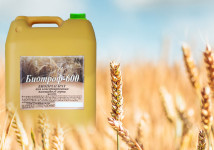 Биотроф -600: консервант для плющеного зерна