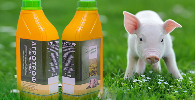 БИОТРОФ Агротроф - биопрепарат для ускорения разложения навоза/помета, снижения аммиака в помещениях