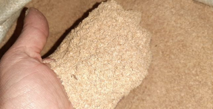 Отруби пшеничные FOB Махачкала