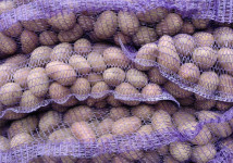 Семенной картофель отличного качества