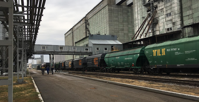 Высококачественное подсолнечное масло оптом от производителя