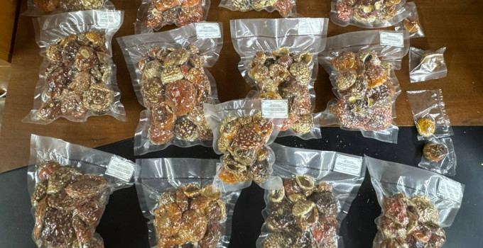 Красный мухомор