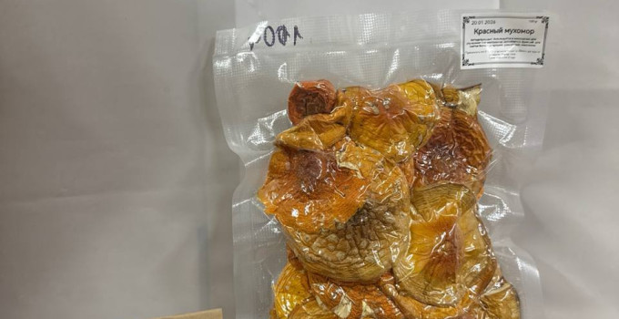 Красный мухомор