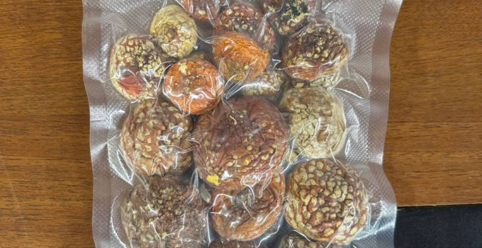 Красный мухомор