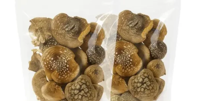 Пантерный мухомор (Amanita pantherina) — отборные сушеные шляпки, экстра-качество