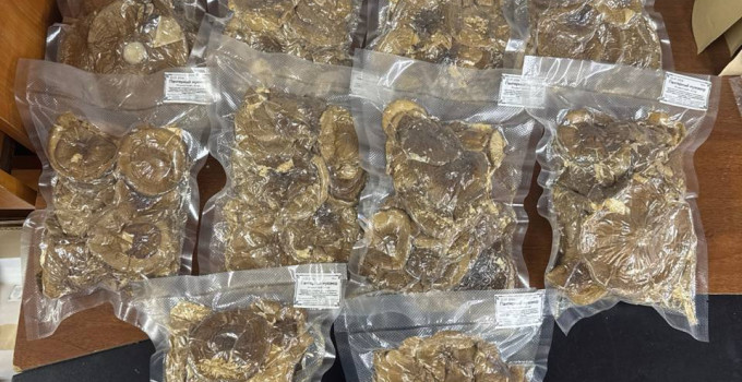 Пантерный мухомор (Amanita pantherina) — отборные сушеные шляпки, экстра-качество