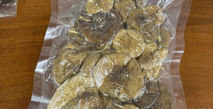 Пантерный мухомор (Amanita pantherina) — отборные сушеные шляпки, экстра-качество