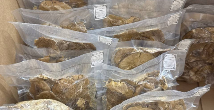 Пантерный мухомор (Amanita pantherina) — отборные сушеные шляпки, экстра-качество