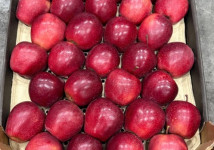 Яблоки разных сортов