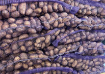 Картофель оптом