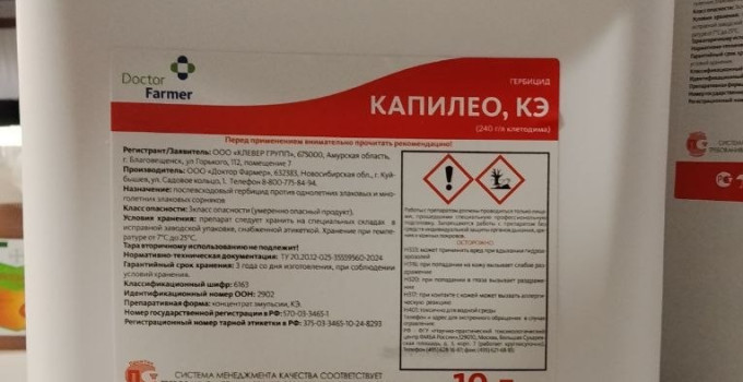 Капилео, КЭ