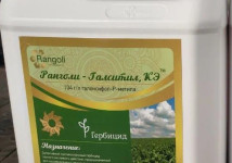 Ранголи-Галситил, КЭ