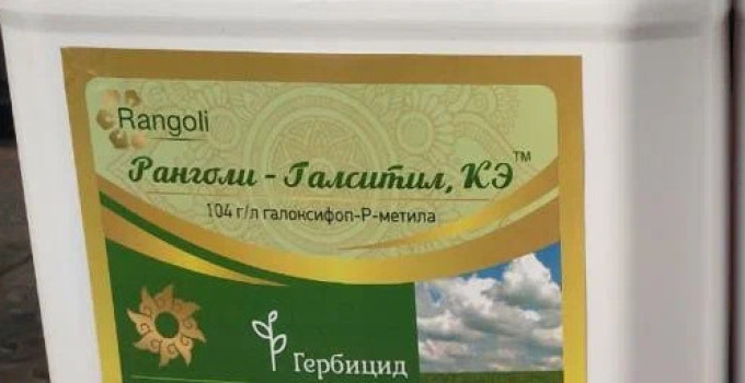 Ранголи-Галситил, КЭ