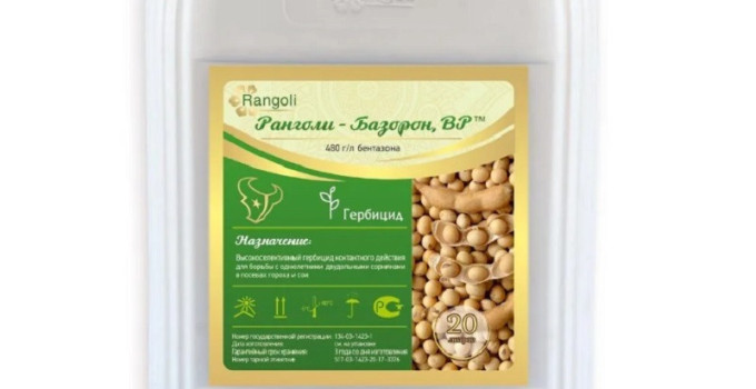 Ранголи-Базорон, ВР