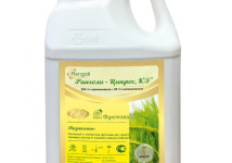 Ранголи-Ципрос, КЭ