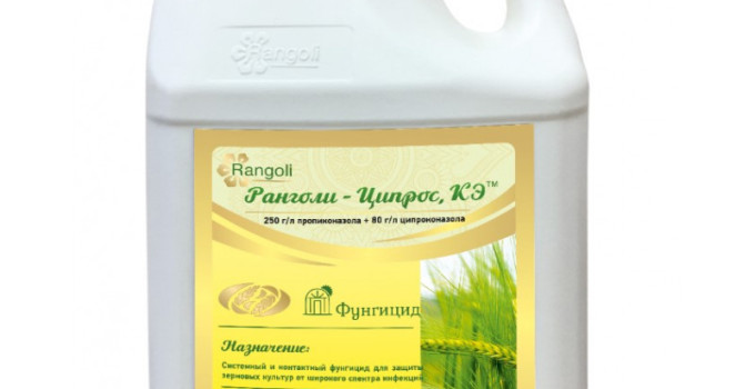 Ранголи-Ципрос, КЭ