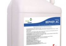 Вернер, КС (красный)